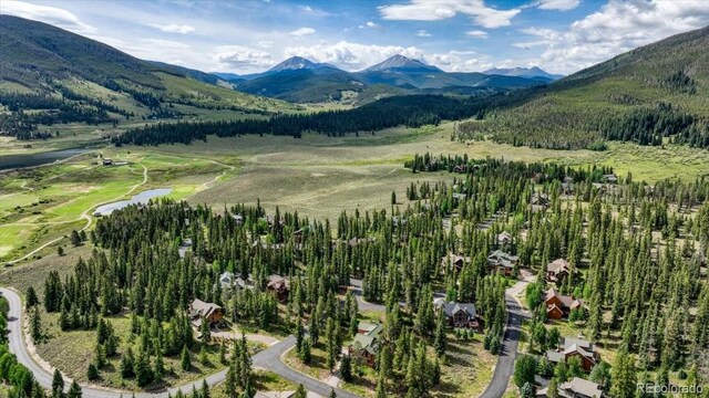7 Golden Rod Cir, Keystone, CO 80435 - photo 42