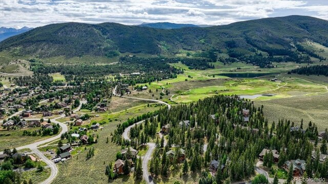 7 Golden Rod Cir, Keystone, CO 80435 - photo 43