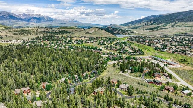 7 Golden Rod Cir, Keystone, CO 80435 - photo 44