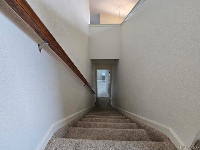 483 W 172nd Pl, Broomfield, CO 80023 - stairway with carpet flooring, baseboards, and a textured wall