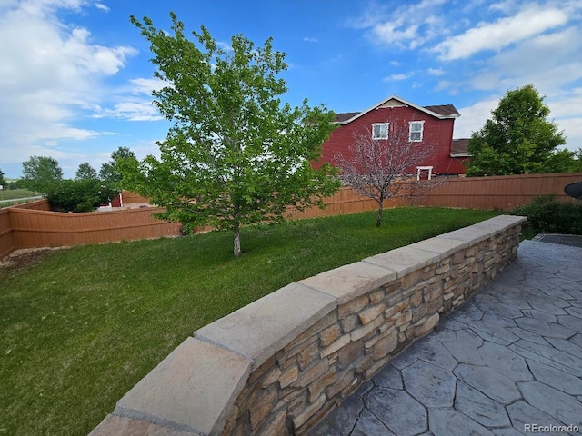 483 W 172nd Pl, Broomfield, CO 80023 - view of yard