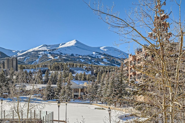 505 S Main St Unit 1313, Breckenridge, CO 80424 - photo 21