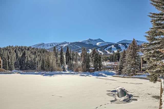 505 S Main St Unit 1313, Breckenridge, CO 80424 - photo 29