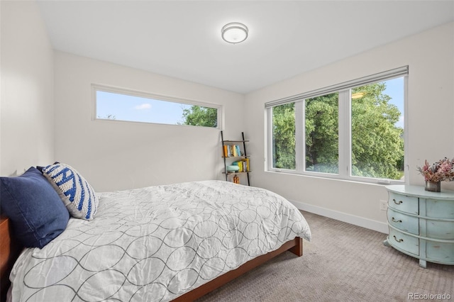 bedroom with multiple windows and carpet floors