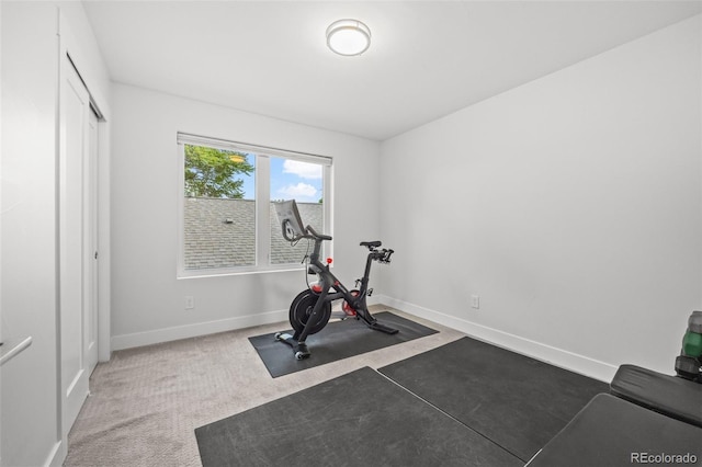 exercise area featuring carpet floors