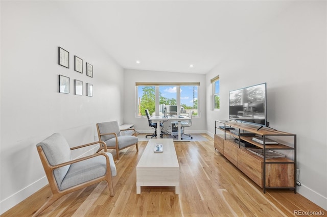 living room featuring light hardwood / wood-style floors