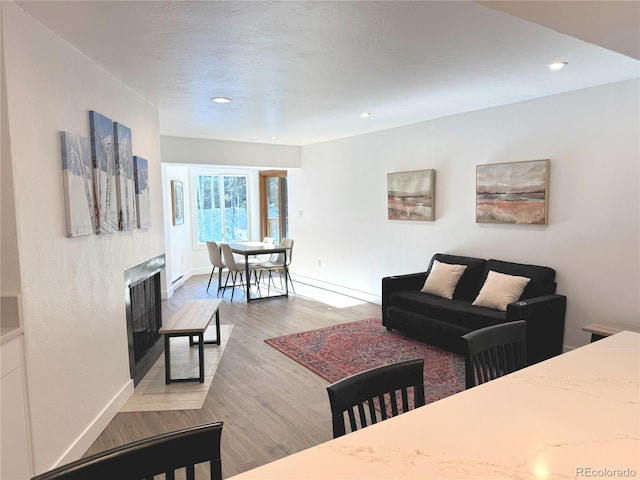 living room featuring light hardwood / wood-style floors