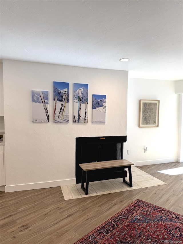 interior space featuring hardwood / wood-style flooring