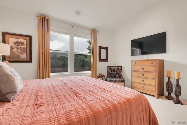 1033 Bramblewood Dr, Castle Pines, CO 80108 - bedroom with lofted ceiling and carpet floors