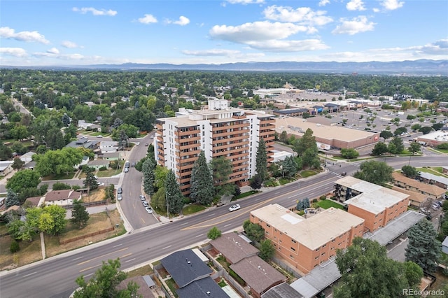 drone / aerial view featuring a mountain view