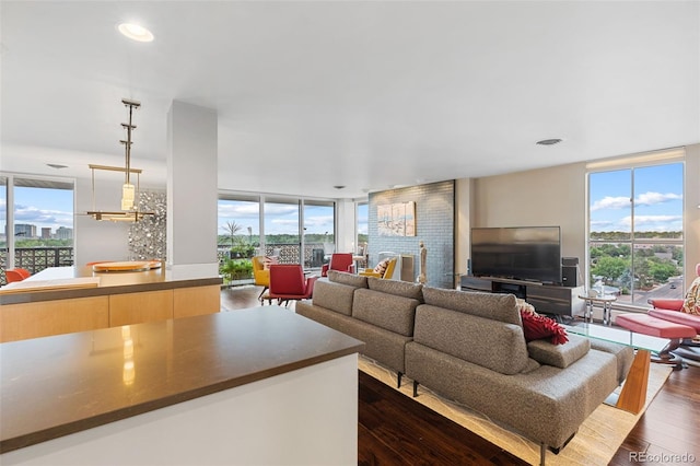 living area featuring expansive windows, plenty of natural light, and dark wood-style flooring