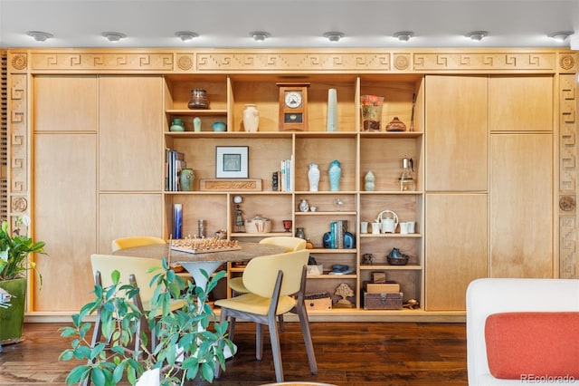 office featuring dark wood finished floors