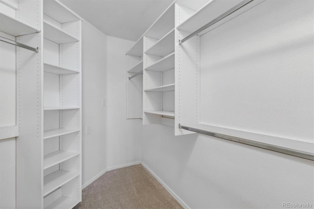 spacious closet with carpet flooring