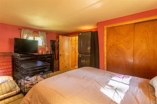 4745 Forest Ln, Howard, CO 81233 - view of bedroom