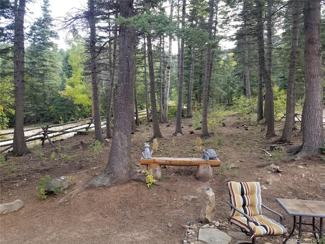 4745 Forest Ln, Howard, CO 81233 - view of yard with a wooded view