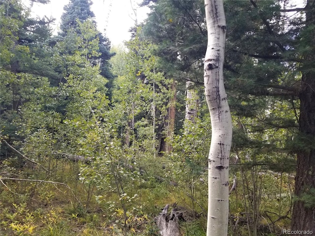 4745 Forest Ln, Howard, CO 81233 - view of woods