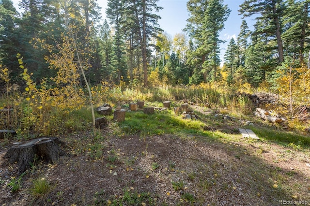 4745 Forest Ln, Howard, CO 81233 - view of yard with a wooded view
