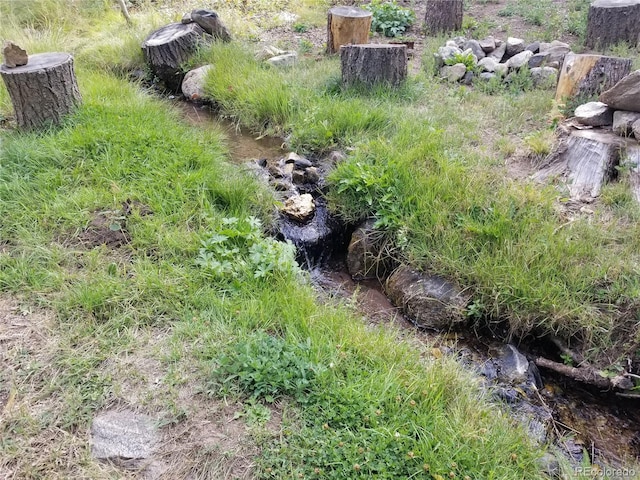 4745 Forest Ln, Howard, CO 81233 - view of yard
