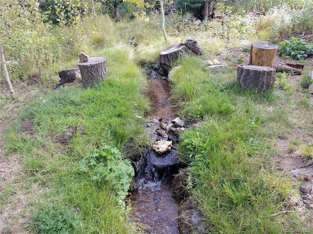 4745 Forest Ln, Howard, CO 81233 - view of yard