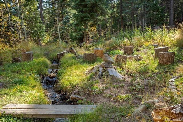 4745 Forest Ln, Howard, CO 81233 - view of yard with a view of trees