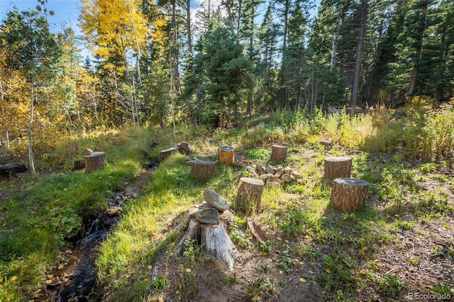 4745 Forest Ln, Howard, CO 81233 - view of yard featuring a view of trees