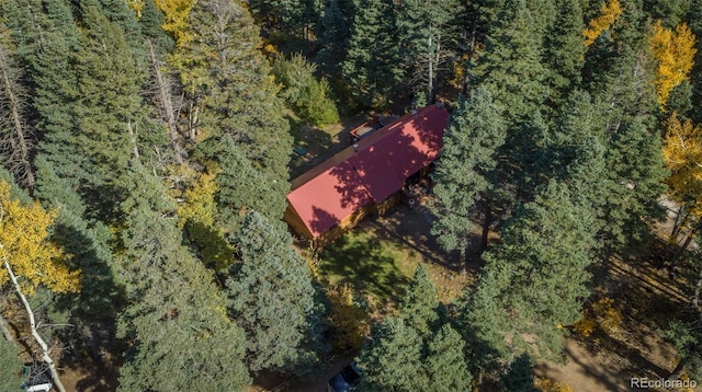 4745 Forest Ln, Howard, CO 81233 - view of subject property with a forest