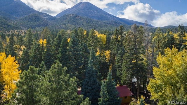 4745 Forest Ln, Howard, CO 81233 - mountain view with a heavily wooded area
