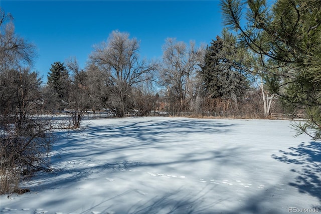 view of yard covered in snow