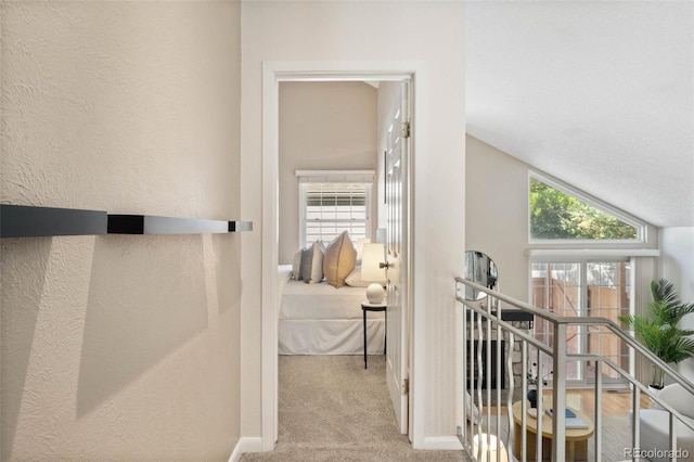 2910 S Racine St, Aurora, CO 80014 - photo 9