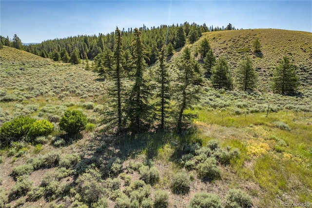 view of local wilderness