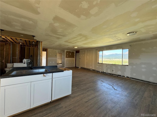 kitchen featuring white cabinetry and dark hardwood / wood-style floors