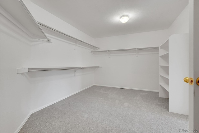 6910 E 131st Dr, Thornton, CO 80602 - spacious closet featuring carpet flooring