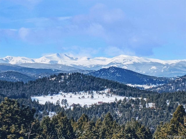 6565 Marshmerry Ln, Evergreen, CO 80439 - photo 1