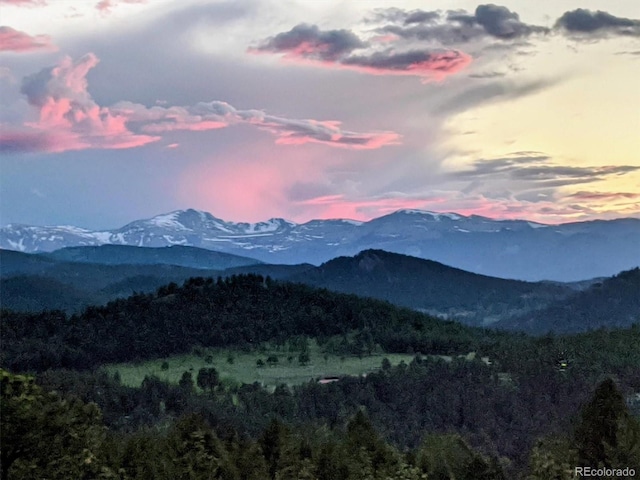 6565 Marshmerry Ln, Evergreen, CO 80439 - photo 2