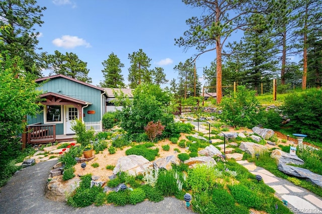 6565 Marshmerry Ln, Evergreen, CO 80439 - photo 39