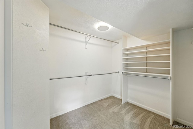 470 S Queen St, Lakewood, CO 80226 - walk in closet featuring carpet flooring