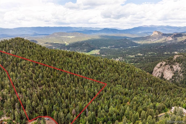 31545 Pike View Dr, Conifer, CO 80433