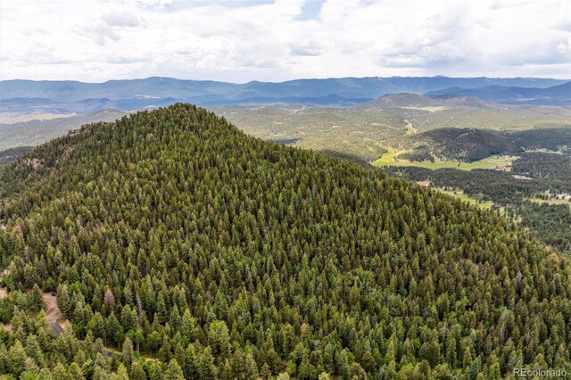 31545 Pike View Dr, Conifer, CO 80433