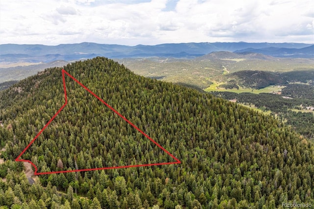 31545 Pike View Dr, Conifer, CO 80433