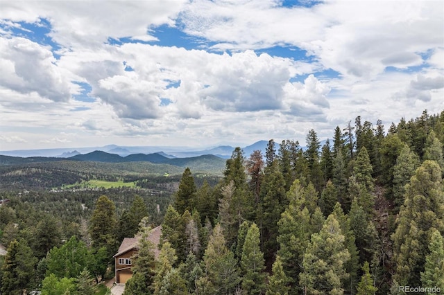 31545 Pike View Dr, Conifer, CO 80433