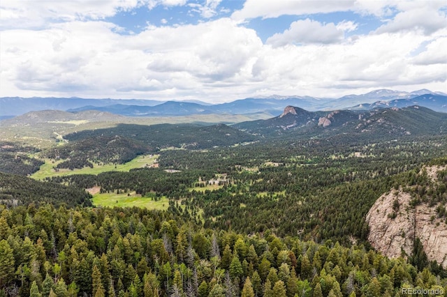 31545 Pike View Dr, Conifer, CO 80433