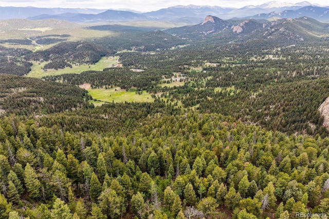 31545 Pike View Dr, Conifer, CO 80433
