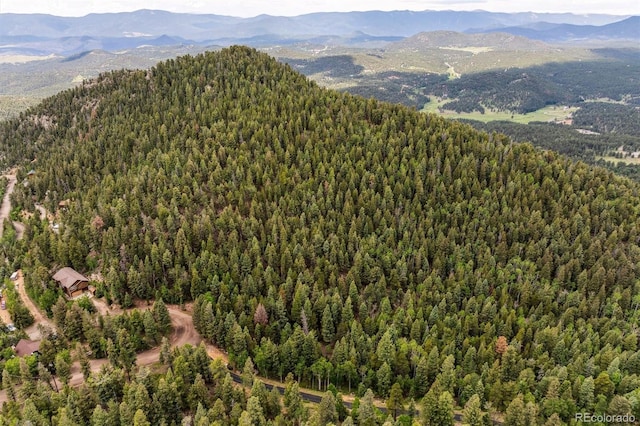 31545 Pike View Dr, Conifer, CO 80433