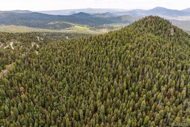 31545 Pike View Dr, Conifer, CO 80433