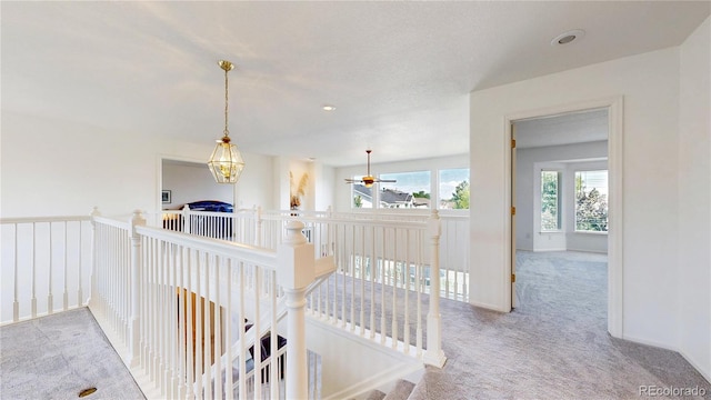 19031 E Progress Ln, Centennial, CO 80015 - photo 17