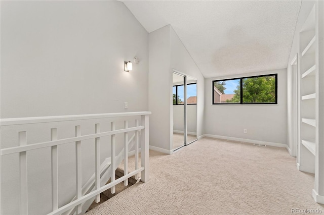 1160 S Monaco Pkwy Unit 6, Denver, CO 80224 - corridor with carpet floors and lofted ceiling