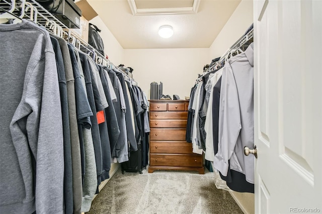 walk in closet featuring light colored carpet