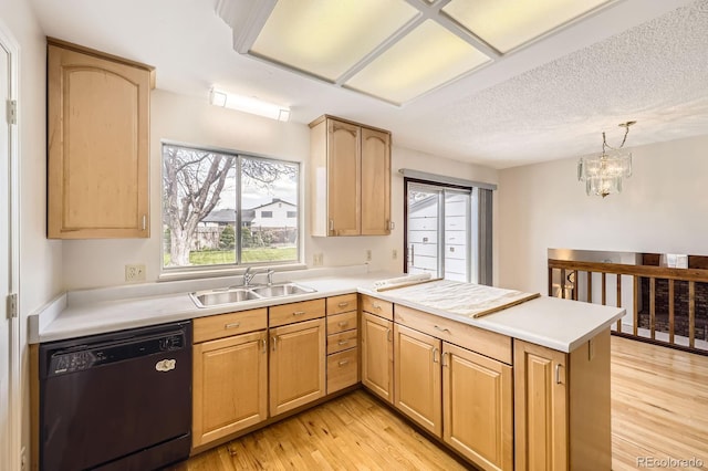 kitchen with black dishwasher, a sink, a peninsula, light countertops, and light wood-type flooring