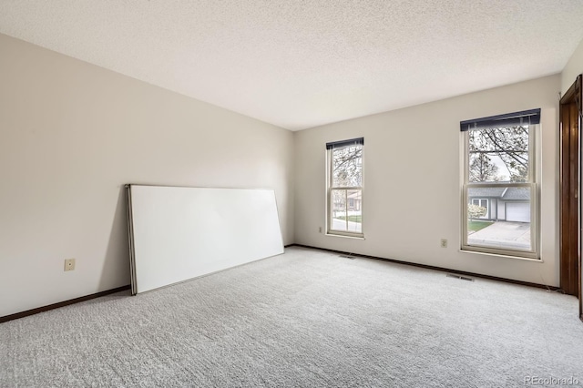 spare room with carpet flooring, a textured ceiling, and a healthy amount of sunlight