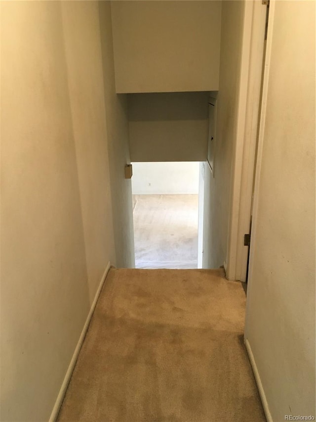 6411 W 82nd Dr, Arvada, CO 80003 - corridor featuring carpet and baseboards